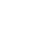 Soler Group